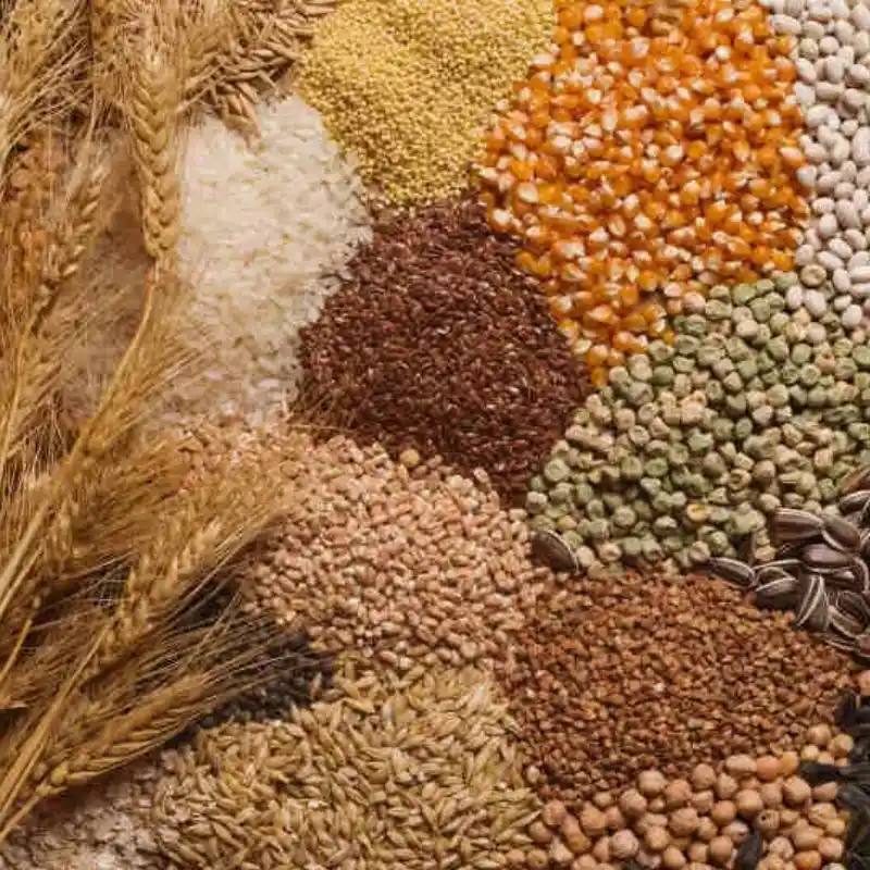 Agriculture Products